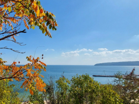 Какво време ни очаква в седмицата от 8-ми до 14-ти декември, ще завали ли сняг в страната