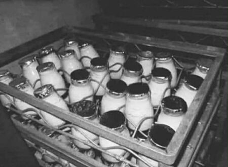 Някога храните дори не се нуждаеха от етикети