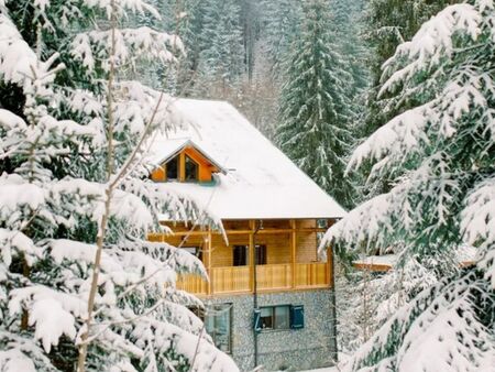 Ловната хижа на Чаушеску в Румъния се продава за 995 000 евро