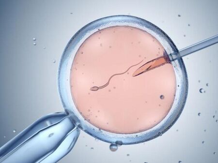 Скандал с банка за сперма: Генетично рисков донор е засегнал близо 200 деца в Европа