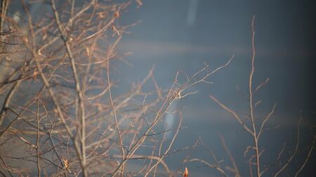 Облачно и мъгливо ще е днес в равнините и котловините