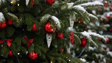 Откраднаха коледна елха от района пред училище в Радомир