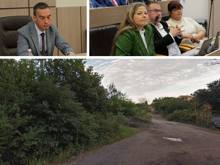 Как и защо тези неугледни храсталаци в кв. Акациите се превърнаха в тема за дискусия в ОбС-Бургас