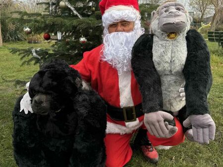 Коледна приказка в Зоопарк Бургас: огромни подаръци и безплатен вход за деца