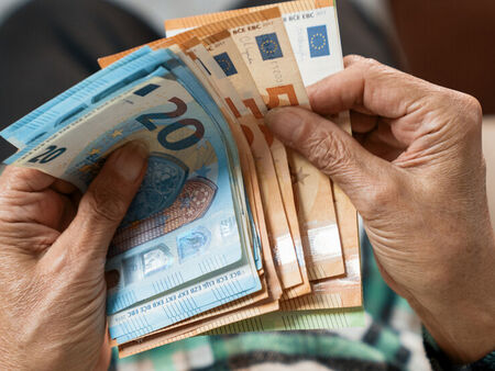 Конституционният съд образува дело за референдума за еврото