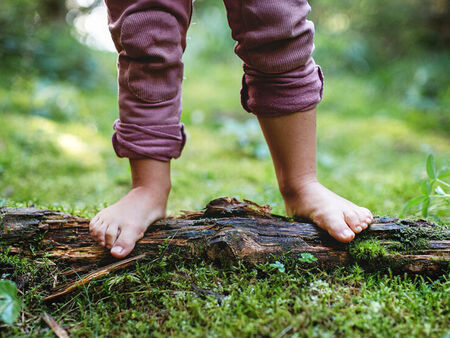 Отказаха да върнат децата на двойка, живееща в гората без ток и вода в Италия