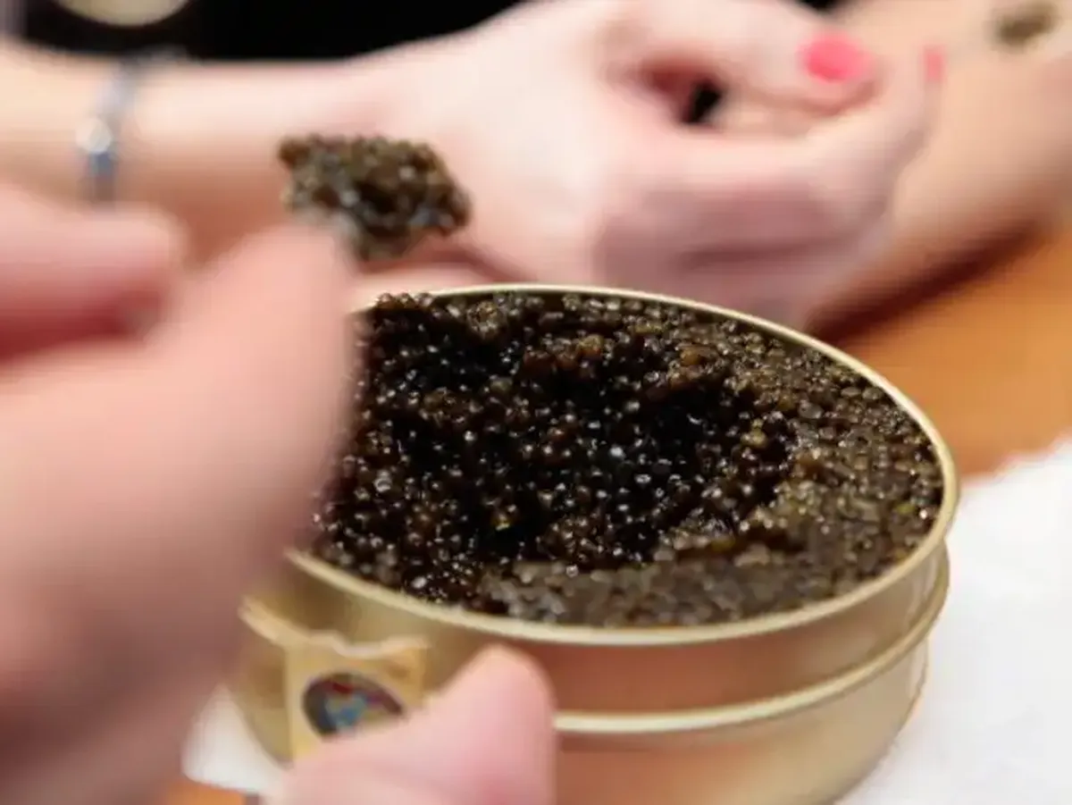 България сред лидерите в Европа по хайвер от белуга