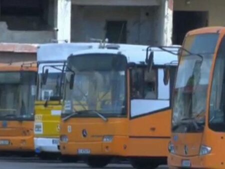 Хвърлиха дърво с червена панделка върху автобус на градския транспорт, извършителят се издирва