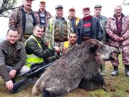 Глиган от 403 кг падна в Родопите