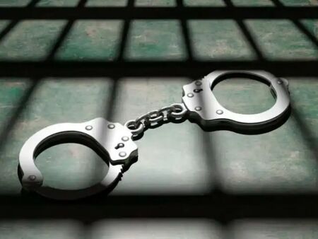 Арестуваха продуцента на турския сериал „Великолепният век“ Тимур Савджи