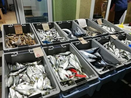 Чирозът на стана по-скъп от калкана: Цени до 45 лв. за кг на рибната борса в Бургас