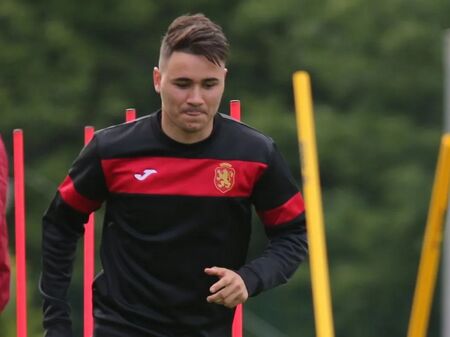 Шалке иска да купи български защитник от Партизан