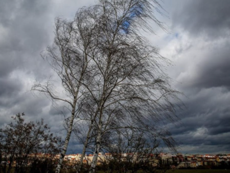 Във Видин Монтана Враца Плевен Ловеч Велико Търново Габрово Сливен