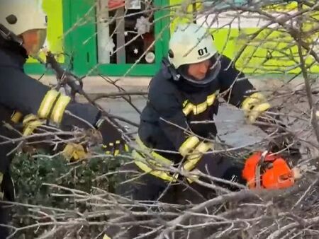 Бурята в Пловдивско събори дървета и помля коли – десетки сигнали, няма пострадали