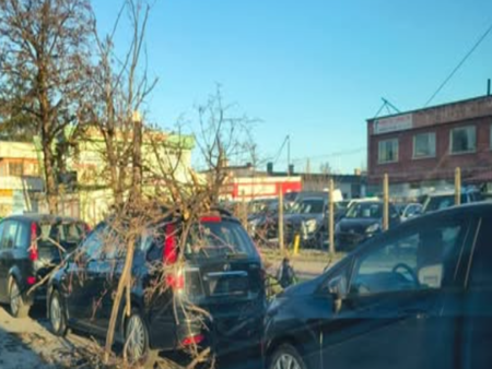 Ураганен вятър със 122 км/ч удари голям роден град - счупени дървета и щети