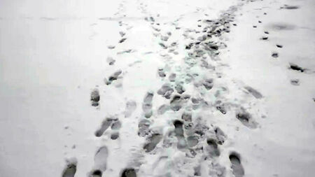 Два спасителни екипа издирват 22-годишен мъж в района на Витоша