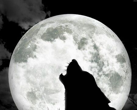 Вълчата луна в Рак ще преобърне живота на тези зодии