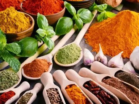 Съпругата на Пламен Бобоков блесна в галерията на Ники Младжов (СНИМКИ)