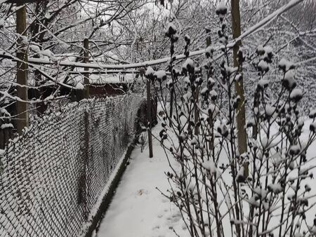 Зимата пак напомни за себе си: На това място в България натрупа много сняг