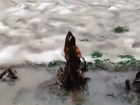 Извънредно! Петролен бос е застрелян в София