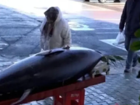 Хванаха 353-килограмово "чудовище" в Черно море