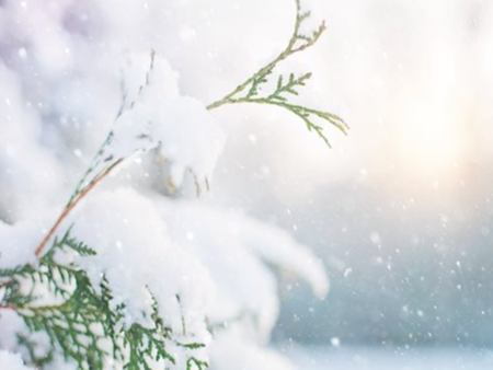 Идва ли Европейска пролет? Прогресивни сили, начело със Салвини, може да спрат реакционните Меркел и Макрон