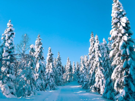 Зимата се завръща с гръм: сняг, студ и бурен вятър връхлитат България