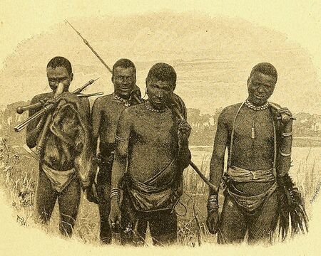 Открити са най-старите доказателства за отровни стрели от Каменната ера