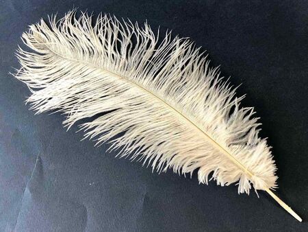 Ако намерите бяло перо, не го подминавайте, носи важни послания