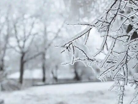 Рязко застудяване у нас - регистрирани са минус 19 градуса