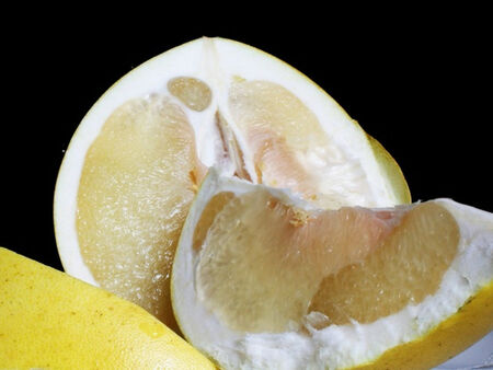 Идва ли Европейска пролет? Прогресивни сили, начело със Салвини, може да спрат реакционните Меркел и Макрон