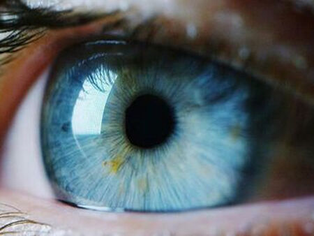 Синеоките хора и здравето им - какво показват науката и новите изследвания