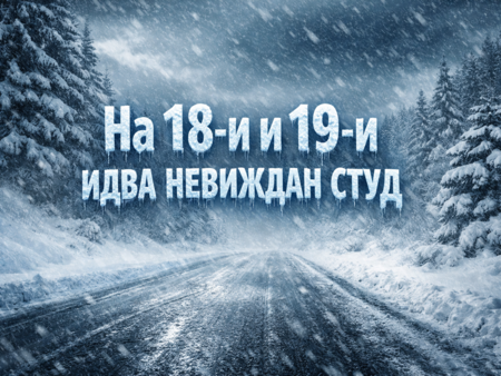 Студ и валежи обхващат България през втората половина на януари