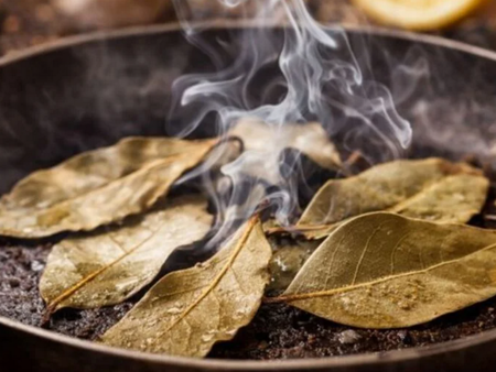 Слагам 1-2 сухи дафинови листа в празен тиган, ефектът е невероятен