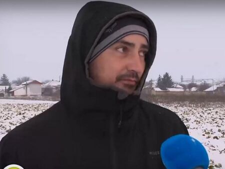 Земеделец зарови реколтата си от 50 тона зеле заради ниски изкупни цени