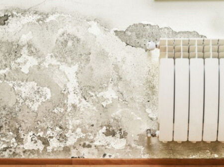 2 лъжици от това са достатъчни, петната от мухъл изчезват за 10 минути!