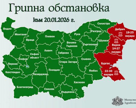 Грипната обстановка спяра учебните занятия, но не и олимпиадите