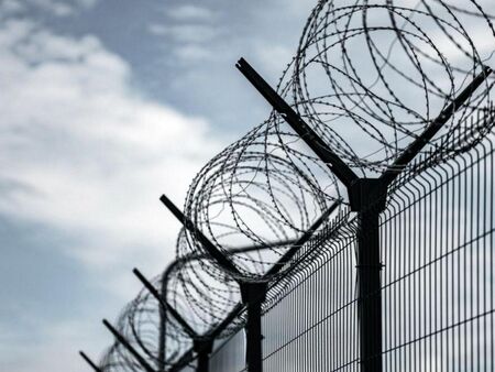 Погрешка: българин прекара близо 3 месеца в ареста на щатската служба за имиграция