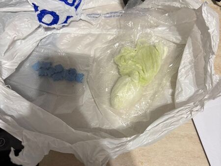 Екшънът се разиграл вчера следобяд в затворен комплекс в Слънчев