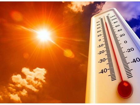 Съпругата на Пламен Бобоков блесна в галерията на Ники Младжов (СНИМКИ)