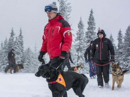 Сноубордистка пострада при Седемте рилски езера