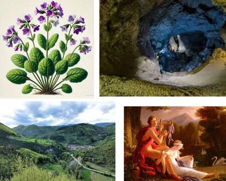 Чудодейното съкровище на Родопите