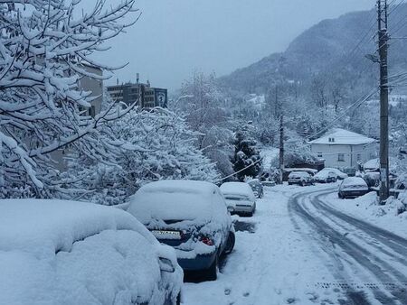 Утре Маргарита Петкова представя премиерно новата си книга „Тъй рече Виктор“ в Бургас