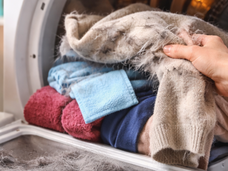 Ефективен трик срещу косми по дрехите: знаете ли го?