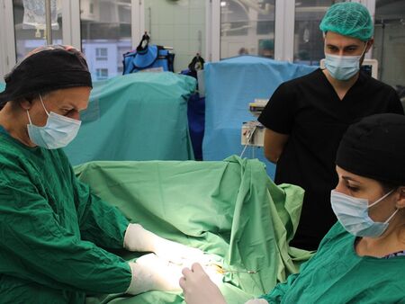 Рядък синдром стои зад три неуспешни бременности Съдови хирурзи от