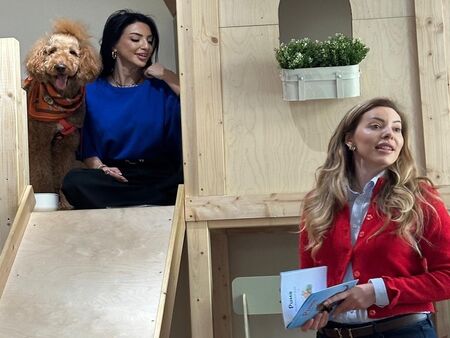 Авторката Ангелина Ангелова е PR експерт журналист и сценарист с