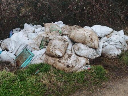 Незаконно сметище с трупове на животни откриха край Карлово