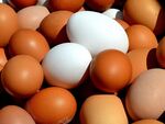 Бели или кафяви яйца да ядем - има ли реална разлика за здравето