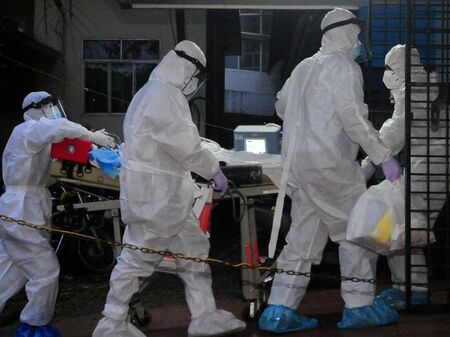 Опасен ли е новият вирус Нипа, който вече плаши света и по какво си прилича с ковид