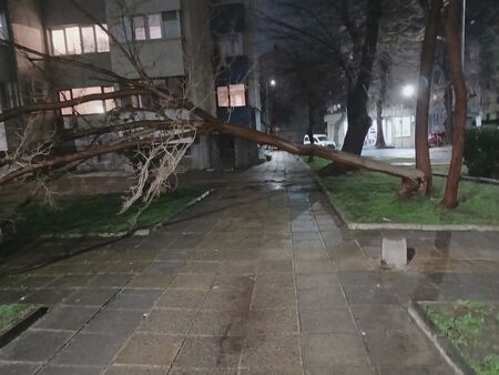 Не напускайте домовете си поне до полунощ когато се очаква